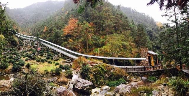 村民一年农家乐收入180万农民玩精品民宿一年100万,看看浙江“走进森林人家”采访活动你会吃惊