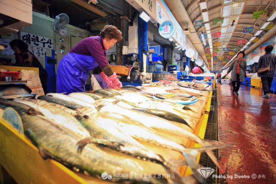 瀵诲疂璧拌繘鍝簺鍩庡競,瀵诲疂澶栧浗娴峰矝