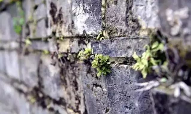 宜昌神秘的地方,宜昌最美的古镇