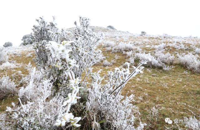 冰雪秦岭梦幻般的世界,乌蒙仙境风景