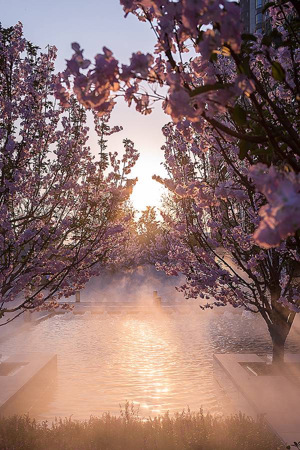 保利融信大国璟口水楼市,保利融信大国璟萧山全景