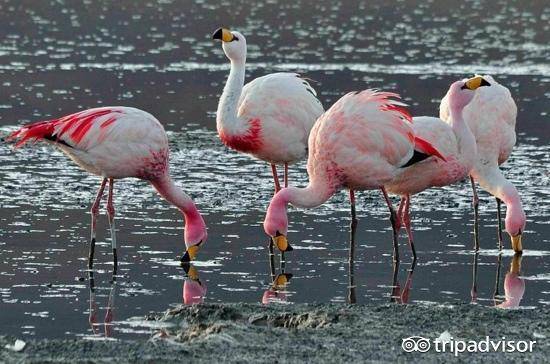 2018来一次跨年旅行,2019跨年旅行攻略