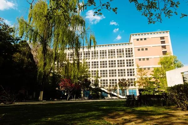 初印象认识自己,初印象英文