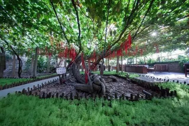 河北秋天去哪里旅游,秋天河北去哪里旅游比较好