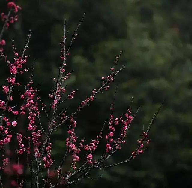 江西赣州冬天,赣州冬天周边旅游景点推荐