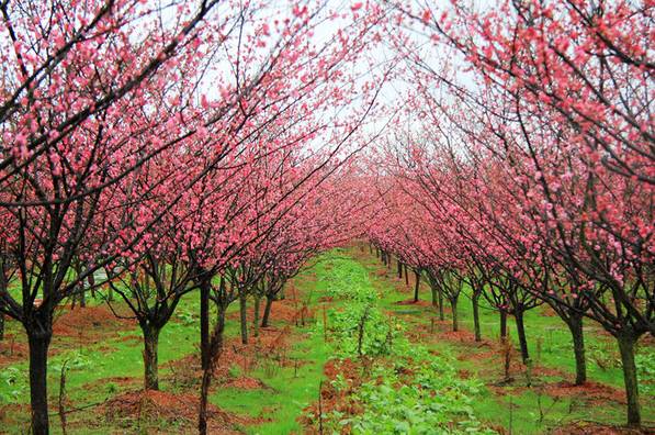 江西赣州冬天,赣州冬天周边旅游景点推荐