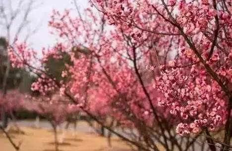 江西赣州冬天,赣州冬天周边旅游景点推荐