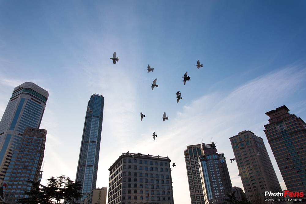 带上马儿去旅游,带着马去旅游的车