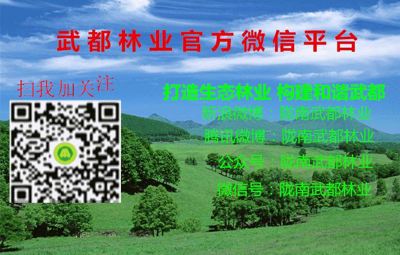 儿童教养礼仪用语,拜年习俗礼仪用语