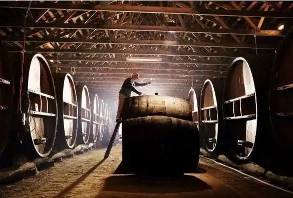 带点苦味的葡萄酒好吗,白葡萄酒口感很酸怎么回事