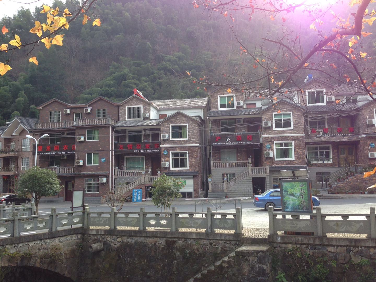 村民一年农家乐收入180万农民玩精品民宿一年100万,看看浙江“走进森林人家”采访活动你会吃惊