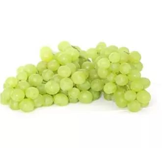 医生说我怀孕了是宫外孕,医生说我怀了多胞胎