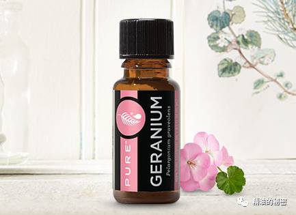 有了这三款精油，就可以安然度过寒冷干燥的冬日！