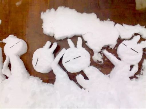 南方同学在北方过冬看到暖气,南方同学讲述在北方打雪仗