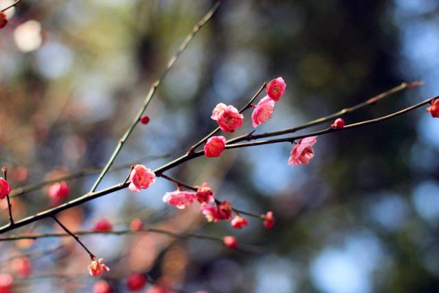 江西赣州冬天,赣州冬天周边旅游景点推荐