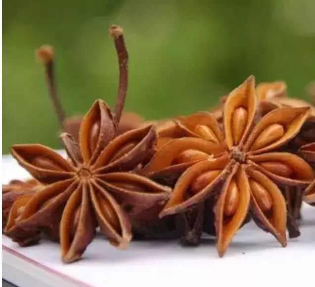 教你识调料,调料小技巧视频