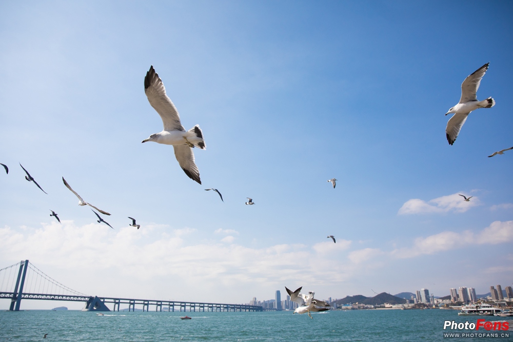 带上马儿去旅游,带着马去旅游的车