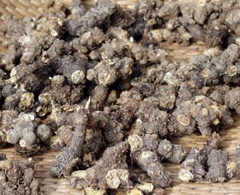 中药中的苍术,中药苍术配方大全