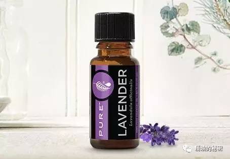 有了这三款精油，就可以安然度过寒冷干燥的冬日！