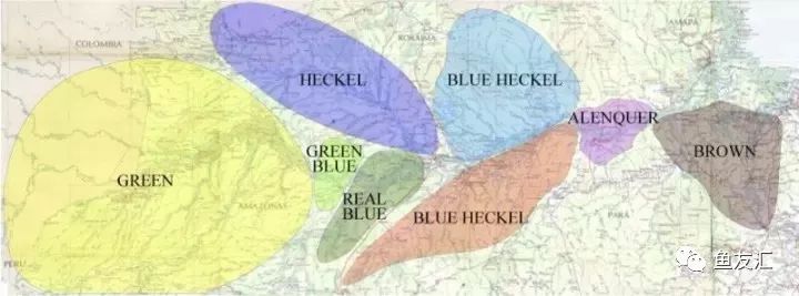 野菜分类,野彩和家彩的饲养区别