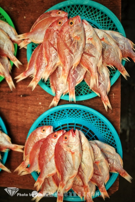 瀵诲疂璧拌繘鍝簺鍩庡競,瀵诲疂澶栧浗娴峰矝