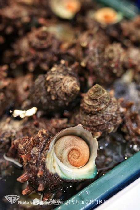 瀵诲疂璧拌繘鍝簺鍩庡競,瀵诲疂澶栧浗娴峰矝