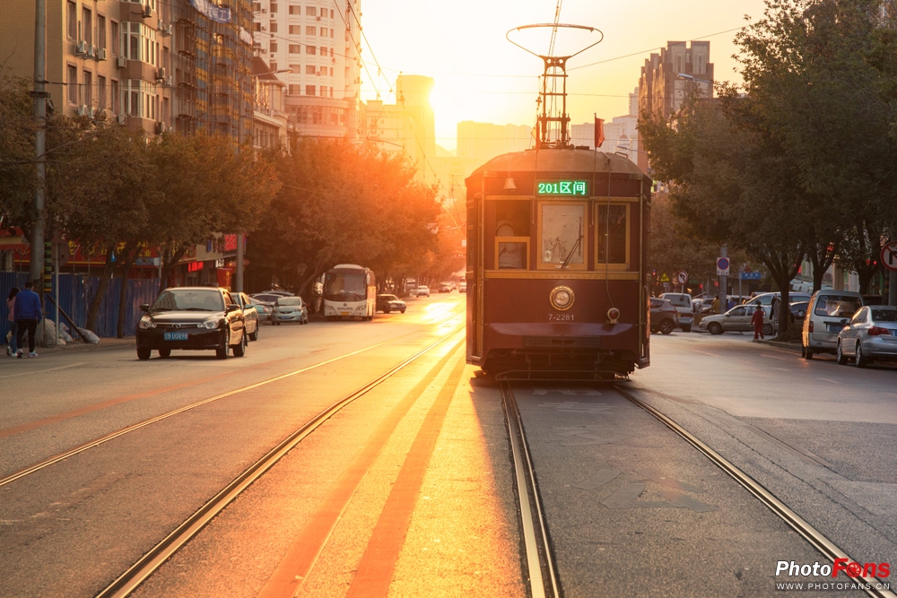 带上马儿去旅游,带着马去旅游的车