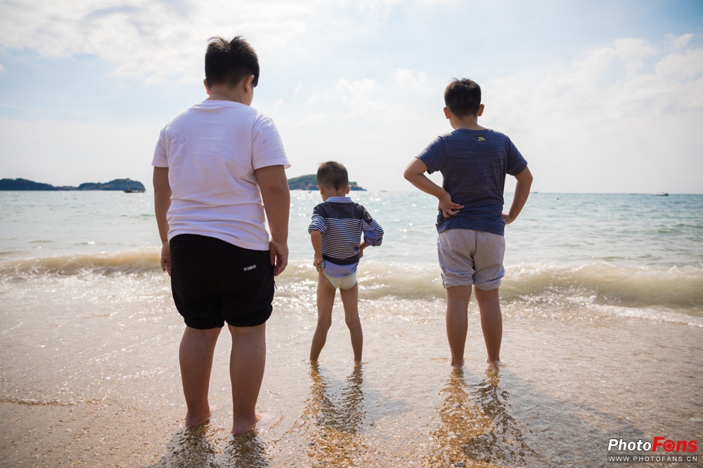 带上马儿去旅游,带着马去旅游的车
