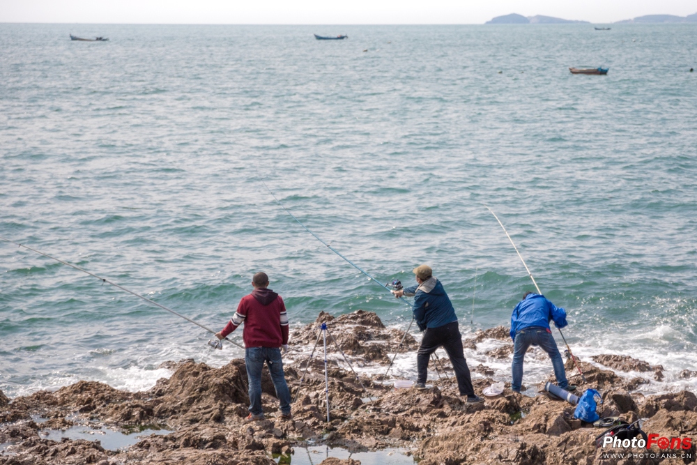 带上马儿去旅游,带着马去旅游的车