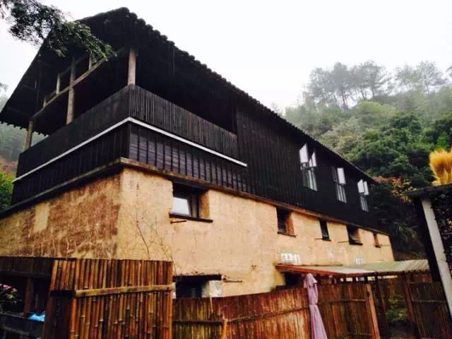 村民一年农家乐收入180万农民玩精品民宿一年100万,看看浙江“走进森林人家”采访活动你会吃惊