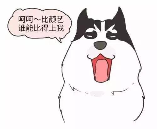 雅思口语常见问题回答,雅思口语怎么向考官自我介绍