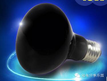 东莞养龟设备,养龟的一套设备大约多少钱