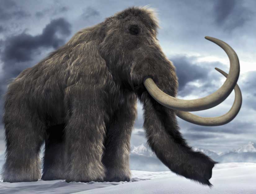哥斯拉远古巨兽猛犸象,北极冰川发现远古巨兽猛犸象