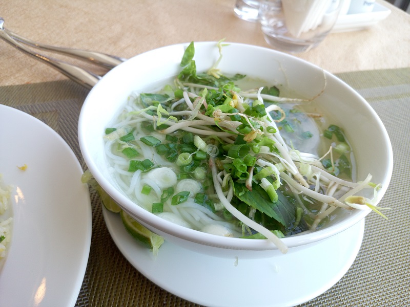 越南游记视频,越南芽庄游记作文600字