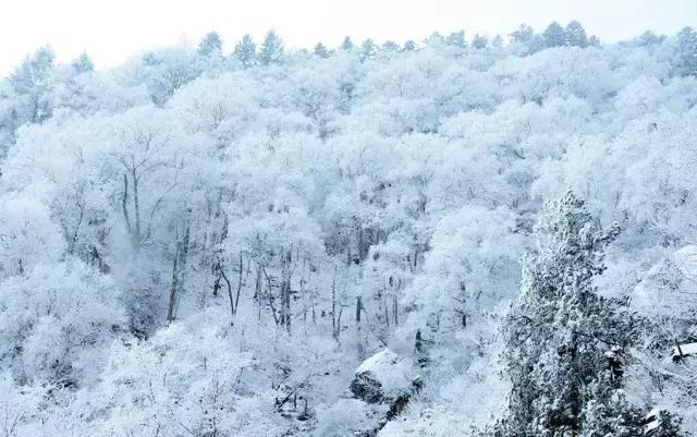美有很多种自然美才是真正的美,美有很多种分别是什么美