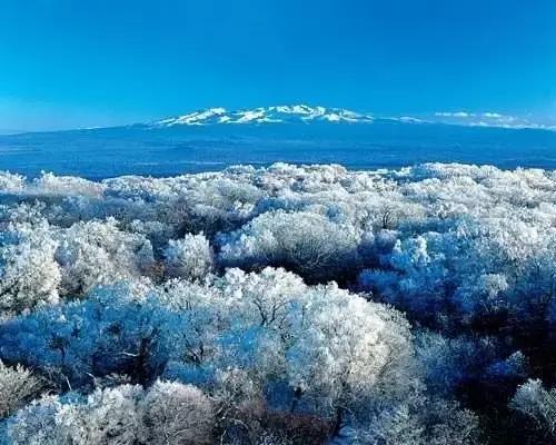 美有很多种自然美才是真正的美,美有很多种分别是什么美