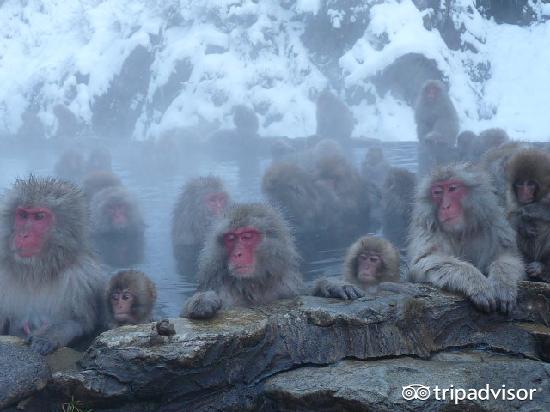 浴衣美食,舒适而又温暖的温泉