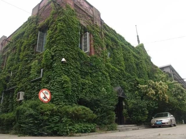 上海十大旅游胜地排名,上海最值得一去的十大旅游胜地