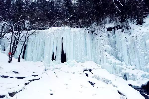 美有很多种自然美才是真正的美,美有很多种分别是什么美
