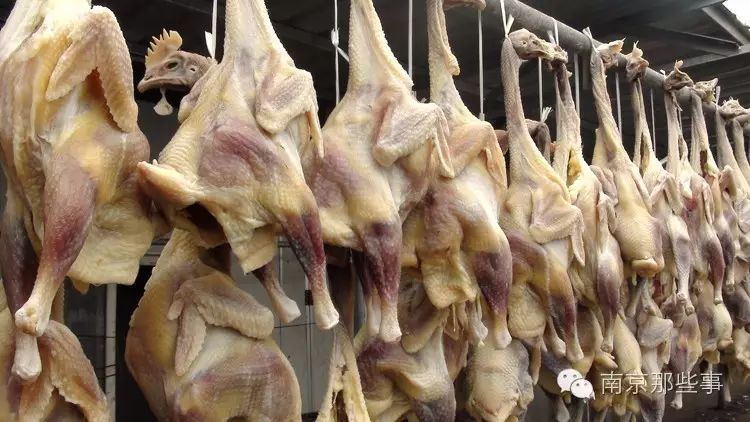 南京冬天为什么没有暖气,南京没暖气怎么过冬