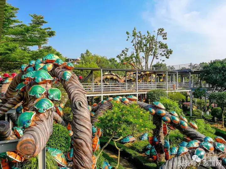 芭提雅东芭乐园和大象村的区别,芭提雅东芭乐园免费路线