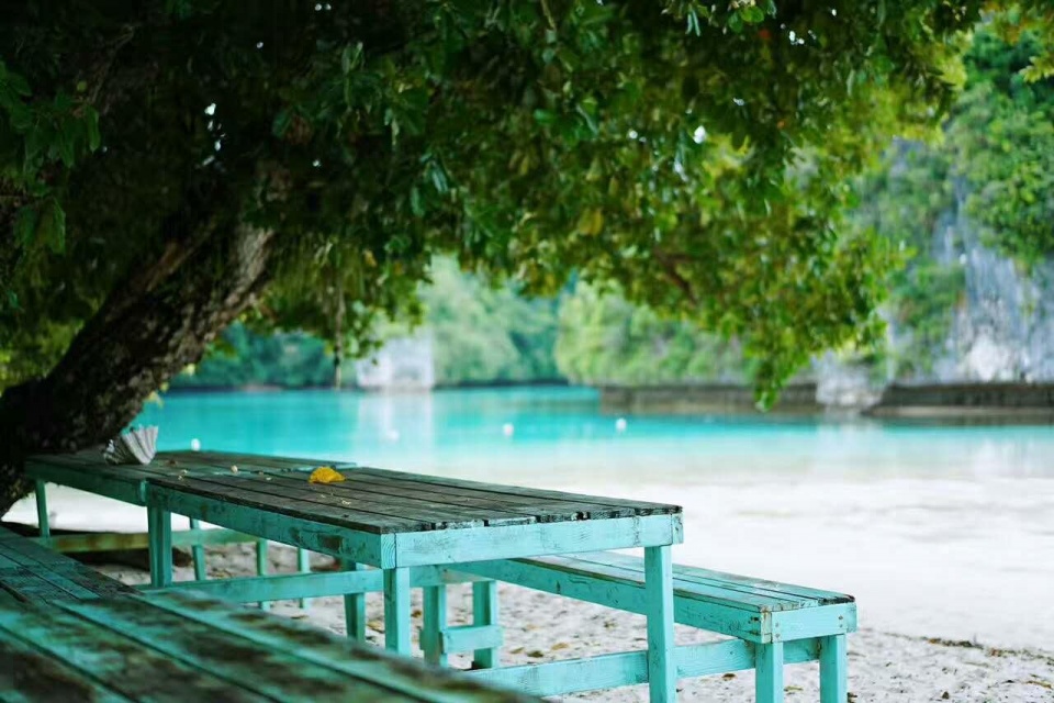 帕劳带小孩旅游攻略,帕劳带小朋友旅游攻略