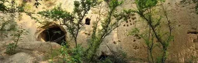 什么？在洞穴赏樱看雪学手艺？看她怎么把废弃洞穴改成浪漫居所