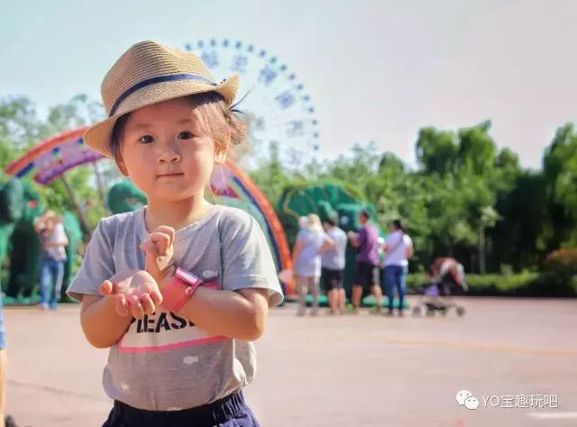 济南野生动物世界一日游自驾,济南野生动物世界一日游攻略