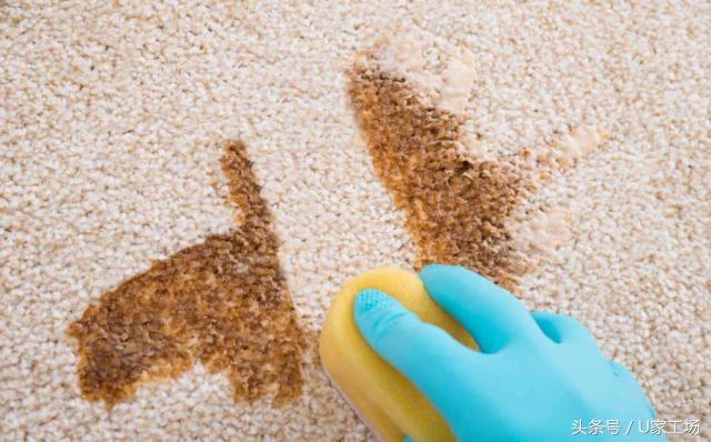 辛辛苦苦花大钱选的昂贵地毯,你竟然都不知道怎么清理??