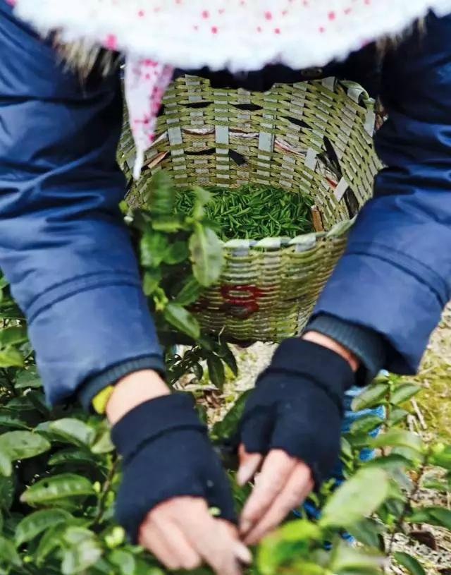 宁波性价比温泉推荐,宁波周边一日游温泉推荐