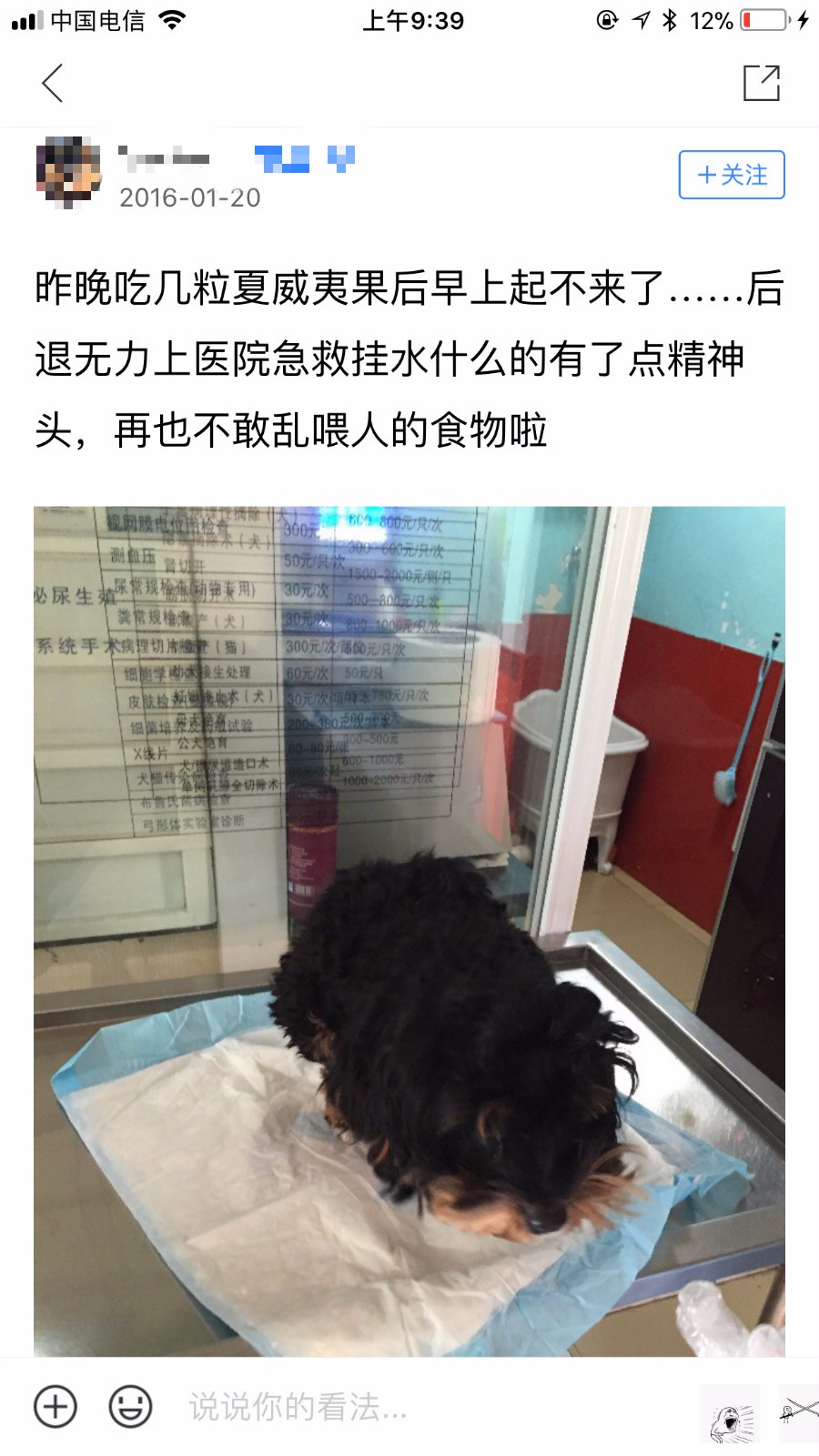 犬夏威夷果中毒如何治疗,夏威夷果对狗狗有害吗