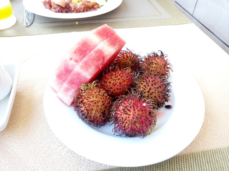 越南游记视频,越南芽庄游记作文600字