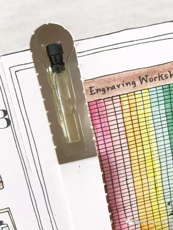 倒数日记录猫咪,倒数日历猫咪