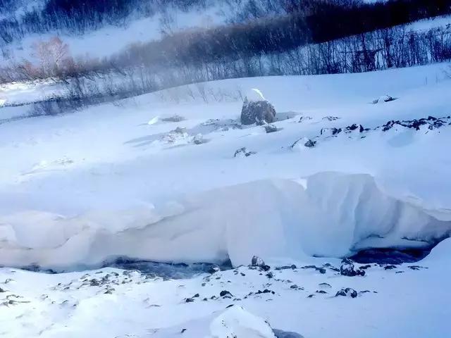 美有很多种自然美才是真正的美,美有很多种分别是什么美